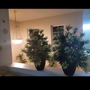 2 fake plants